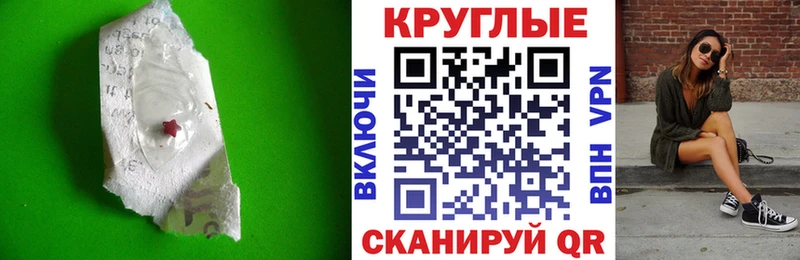 Купить Кудрово Ecstasy Philipp Plein