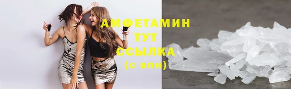 индика Верея