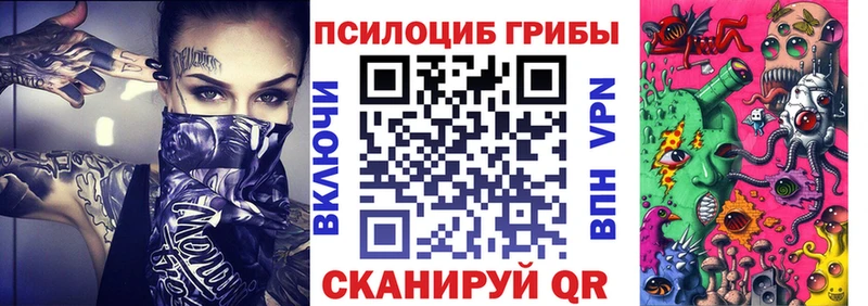 Галлюциногенные грибы Cubensis  Купить где  Кудрово 